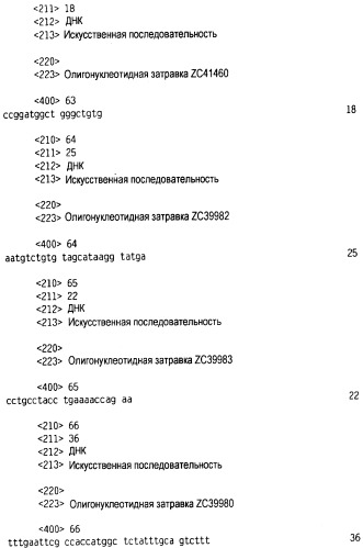 Новый лиганд рецептора цитокина zcytor17 (патент 2490276)