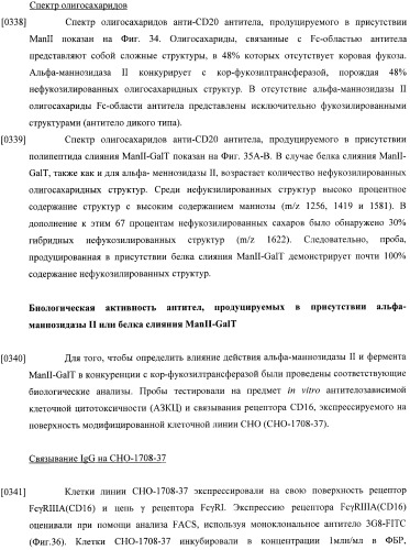 Конструкции слияния и их применение для получения антител с повышенными аффинностью связывания fc-рецептора и эффекторной функцией (патент 2407796)