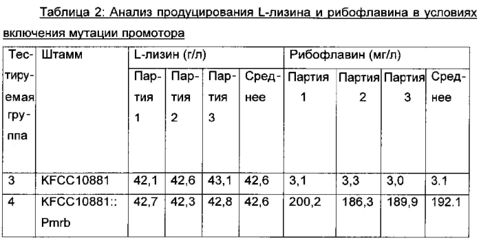 Микроорганизм для продуцирования одновременно l-аминокислоты и рибофлавина и способ производства l-аминокислоты и рибофлавина с его применением (патент 2588657)