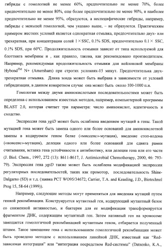 Способ получения l-треонина с использованием бактерии, принадлежащей к роду escherichia, в которой инактивирован ген ygid (патент 2396349)
