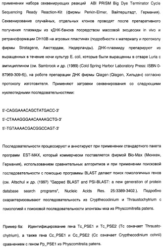 Новый ген элонгазы и способ получения полиненасыщенных кислот жирного ряда (патент 2311457)