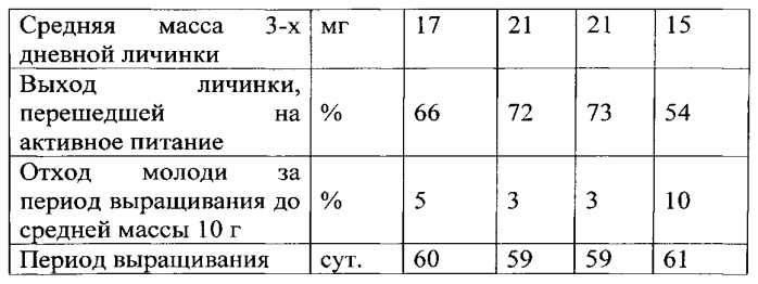 Способ получения личинок и мальков осетровых рыб (патент 2564840)