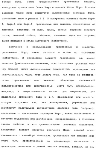 Поликлональное антитело против nogo, фармацевтическая композиция и применение антитела для изготовления лекарственного средства (патент 2432364)