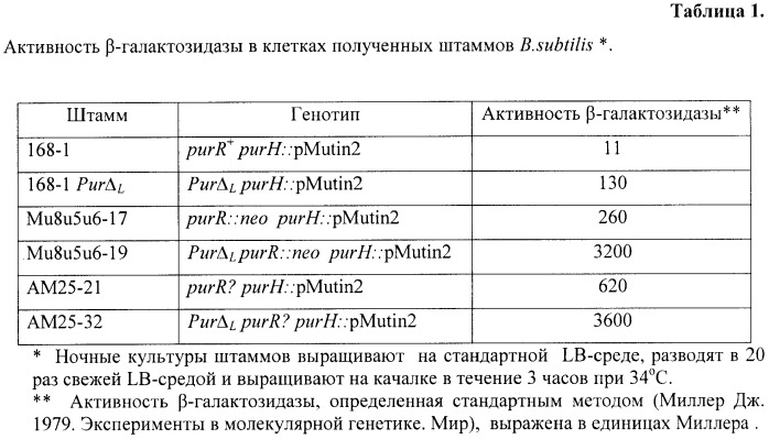 Способ микробиологического синтеза пуринового нуклеозида 5&#39;-аминоимидазол-4-карбоксамидрибозида (аикар) и штамм бактерий bacillus subtilis - продуцент аикар (патент 2405833)