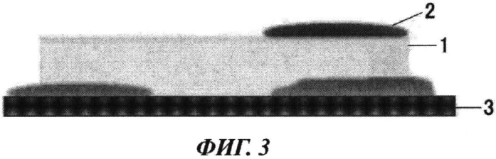 Косметическая композиция в виде эмульсии вода-в-масле (патент 2574029)