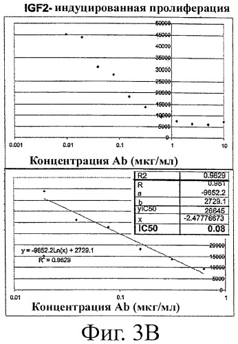 Новые антитела к igf-ir и их применение (патент 2434882)