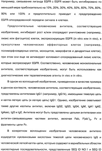 Человеческие моноклональные антитела к рецептору эпидермального фактора роста (egfr), способ их получения и их использование, гибридома, трансфектома, трансгенное животное, экспрессионный вектор (патент 2335507)