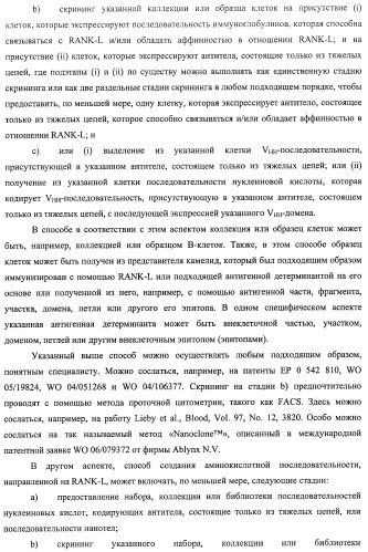 Аминокислотные последовательности, направленные на rank-l, и полипептиды, включающие их, для лечения заболеваний и нарушений костей (патент 2481355)