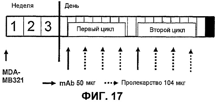 Водорастворимые аналоги сс-1065 и их конъюгаты (патент 2489423)