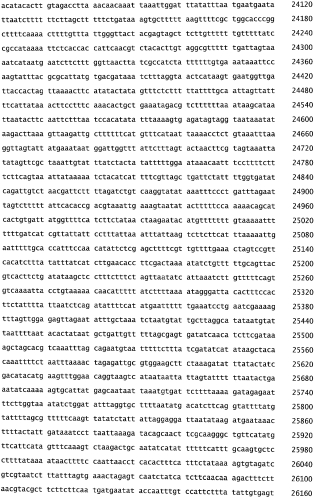 Бактериофаг, обладающий активностью против pseudomonas aeruginosa, белки бактериофага и способы их применения (патент 2580248)
