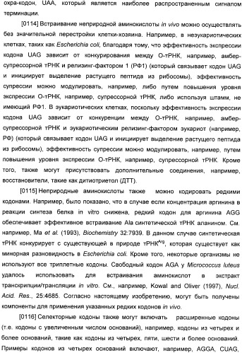Генетически кодируемые флюоресцентные кумариновые аминокислоты (патент 2473690)