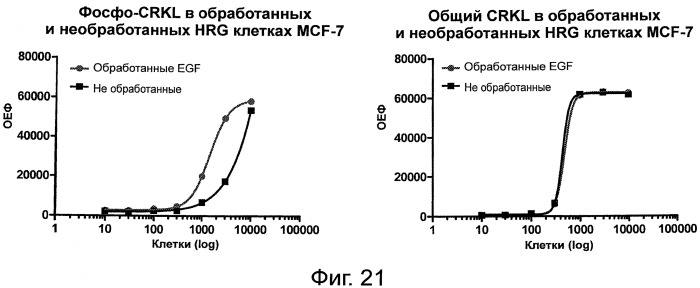 Способы выявления онкогенных слитых белков, основанные на анализе близкого взаимного расположения (патент 2558797)