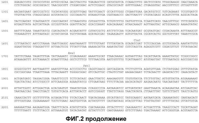 Получение функционализированной линейной днк-кассеты и опосредованная квантовыми точками/наночастицами доставка в растения (патент 2574785)