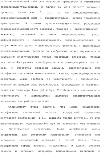 Scfv против egfrviii с улучшенной цитотоксичностью и выходом, иммунотоксины на их основе и способы их применения (патент 2317999)