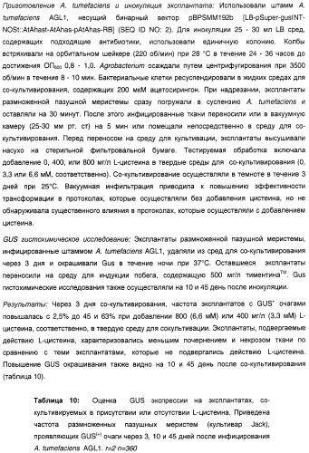 Улучшенная трансформация сои (патент 2389797)