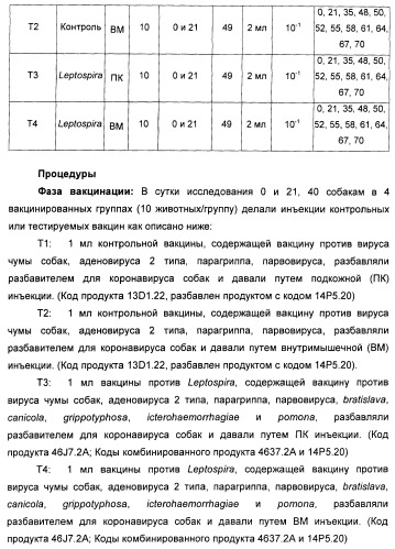 Поливалентные вакцины для собак против leptospira bratislava и других патогенов (патент 2400248)