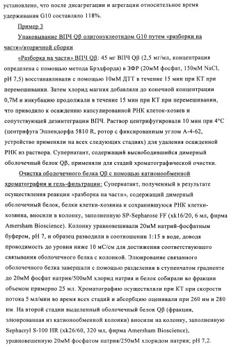 Упакованные иммуностимулирующей нуклеиновой кислотой частицы, предназначенные для лечения гиперчувствительности (патент 2451523)