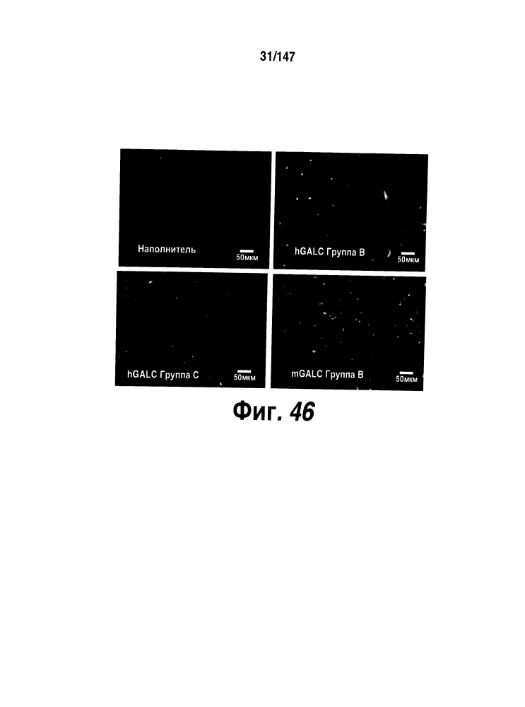 Доставка к цнс лечебных агентов (патент 2626514)