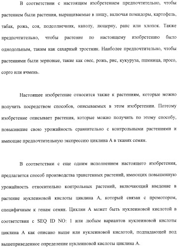 Растения с повышенной урожайностью и способ их получения (патент 2377306)