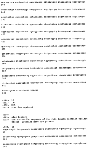 Новая протеаза грибов и ее применение (патент 2566549)