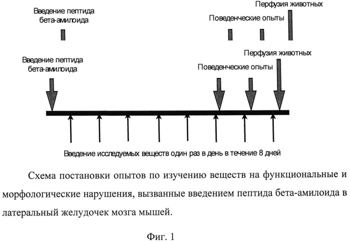 Комбинация для коррекции неврологического и психоэмоционального статуса при органических нарушениях цнс (патент 2536270)