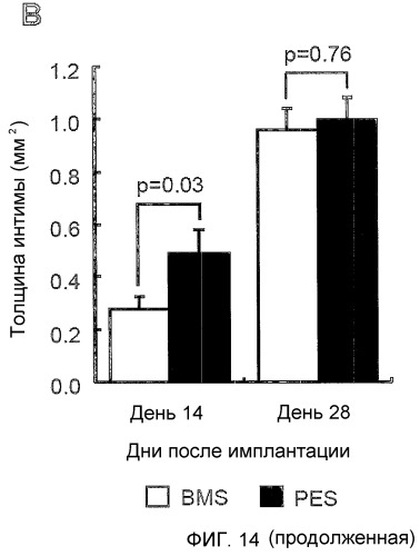 Лечение и предупреждение болезней сердца с использованием двух или более изоформ фактора роста гепатоцитов (патент 2448159)