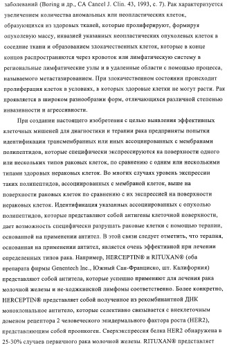 Композиции и способы диагностики и лечения опухоли (патент 2430112)