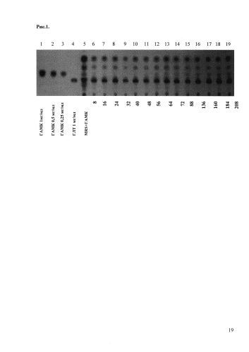 Штаммы lactobacillus plantarum и lactobacillus brevis, синтезирующие гамма-аминомасляную кислоту (патент 2575625)