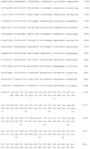 Плазмида для экспрессии в клетках сно рекомбинантного фолликулостимулирующего гормона (фсг) человека, плазмида для экспрессии в клетках сно бета-субъединицы рекомбинантного фсг человека, клетка сно - продуцент рекомбинантного фсг человека и способ получения указанного гормона (патент 2560596)
