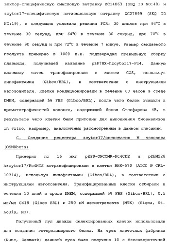 Новый лиганд рецептора цитокина zcytor17 (патент 2360923)