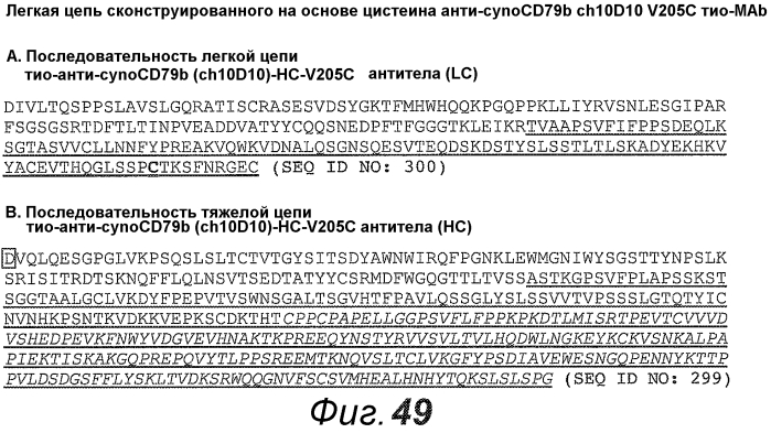 Анти-cd79b антитела и иммуноконъюгаты и способы их применения (патент 2553566)