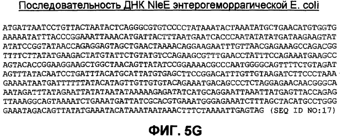 Бактериальные факторы вирулентности и варианты их применения (патент 2465331)