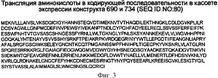 Химерные вирусоподобные частицы, содержащие гемагглютинин, сходные с частицами вируса гриппа (патент 2569195)