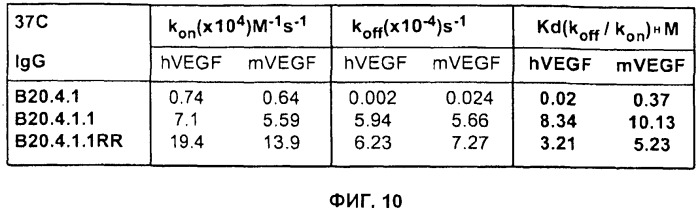 Антитела против фактора роста эндотелия сосудов (vegf) (патент 2514148)