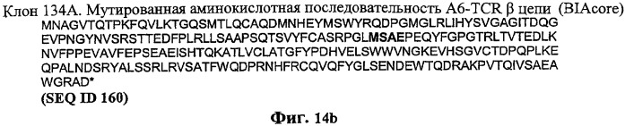Экспонирование т-клеточных рецепторов (патент 2346004)