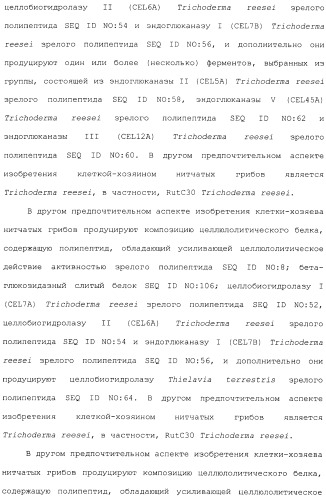 Клетка-хозяин trichoderma reesei для получения целлюлолитической белковой композиции, целлюлолитическая белковая композиция, способы ее получения и применения (патент 2494146)