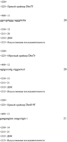 Набор синтетических олигонуклеотидов для определения нуклеотидной последовательности кодирующей части гена des и выявления мутаций, ассоциированных с десминовыми кардиомиопатиями (патент 2556832)