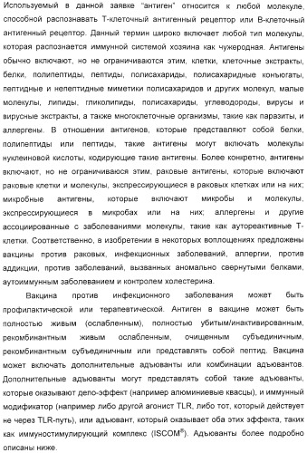 Мотивы последовательности рнк в контексте определенных межнуклеотидных связей, индуцирующие специфические иммуномодулирующие профили (патент 2435851)