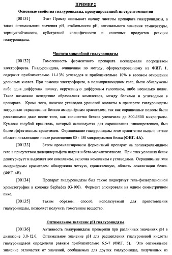Гиалуронидаза и способ ее применения (патент 2471867)