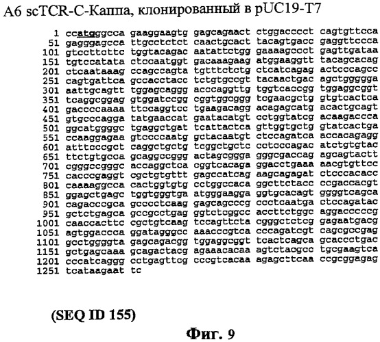 Экспонирование т-клеточных рецепторов (патент 2346004)