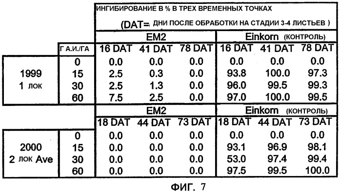 Растения пшеницы с повышенной устойчивостью к имидазолиноновым гербицидам (патент 2337532)