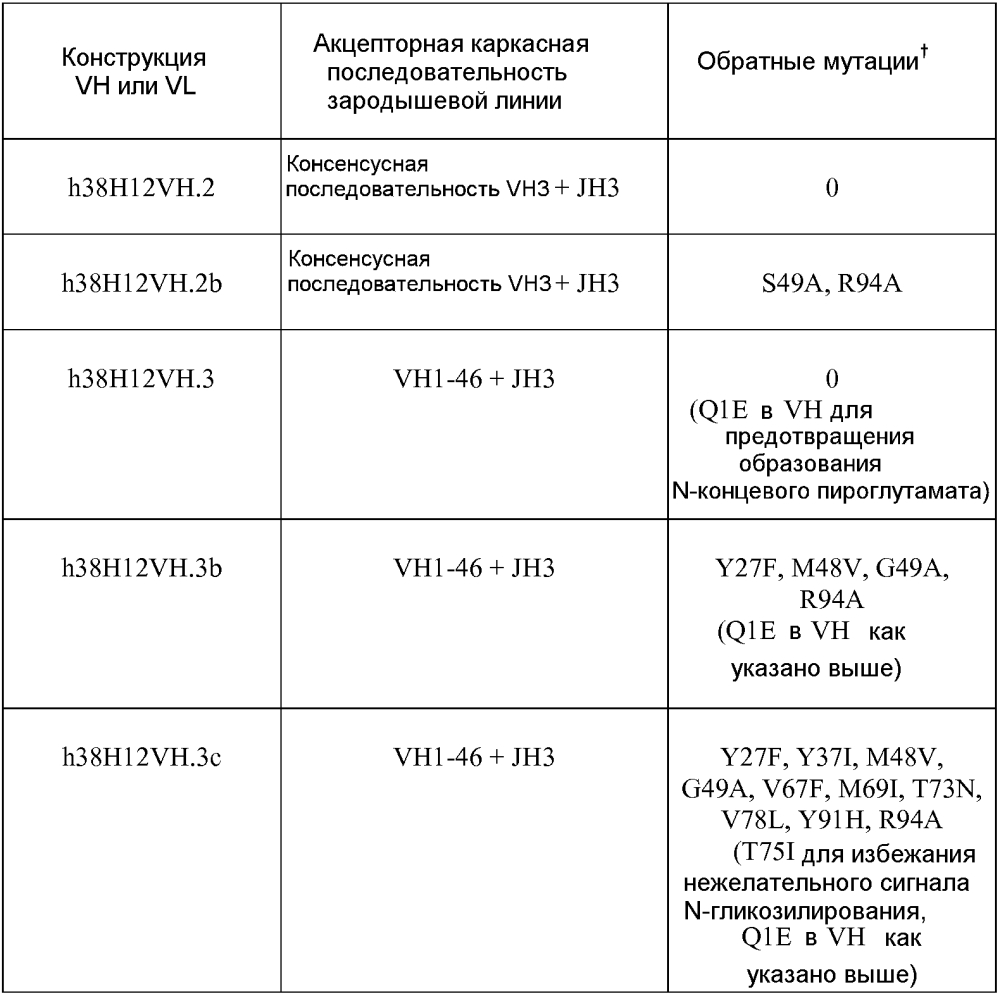 Терапевтические dll4-связывающие белки (патент 2605928)