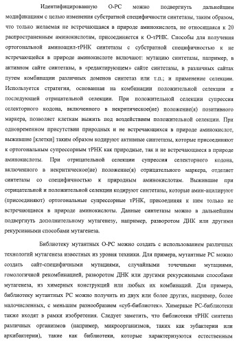 Система экспрессии компонентов ортогональной трансляции в эубактериальной клетке-хозяине (патент 2467069)
