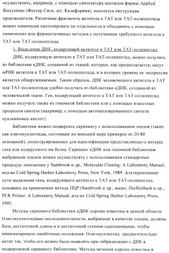 Композиции и способы диагностики и лечения опухоли (патент 2423382)