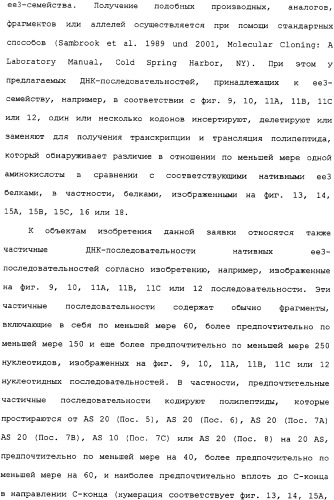 Ее3-семейство белков и соответствующие днк-последовательности (патент 2333918)