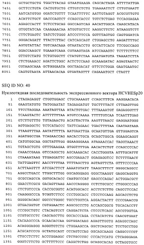 Связывающие молекулы, обладающие терапевтической активностью (патент 2386639)