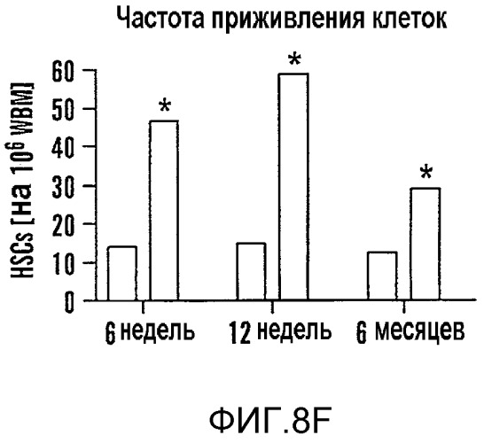 Способ стимулирования экспансии гематопоэтических стволовых клеток (патент 2493252)