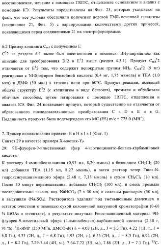 Твердофазное тегирование олигосахаридов: методика для манипуляции с иммобилизированными углеводами (патент 2398237)