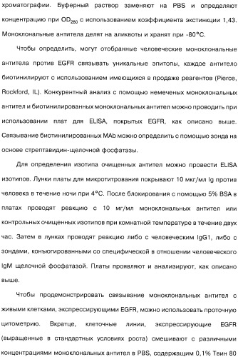 Человеческие моноклональные антитела к рецептору эпидермального фактора роста (egfr), способ их получения и их использование, гибридома, трансфектома, трансгенное животное, экспрессионный вектор (патент 2335507)