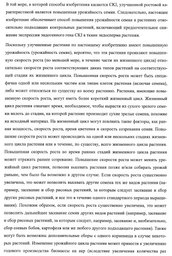 Растения, имеющие улучшенные характеристики роста, и способы их получения (патент 2463352)